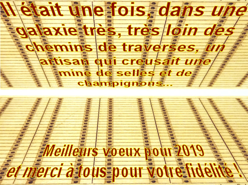 2019 AV Voeux